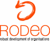Projektlogo Robust Development of Organisations